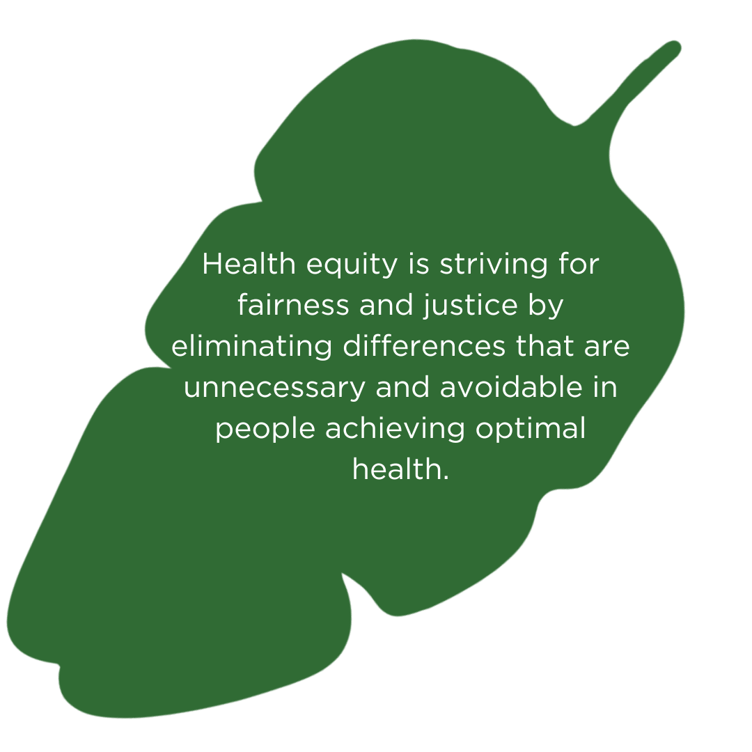 Health equity is striving for fairness and justice by eliminating differences that are unnecessary and avoidable in people achieving optimal health.