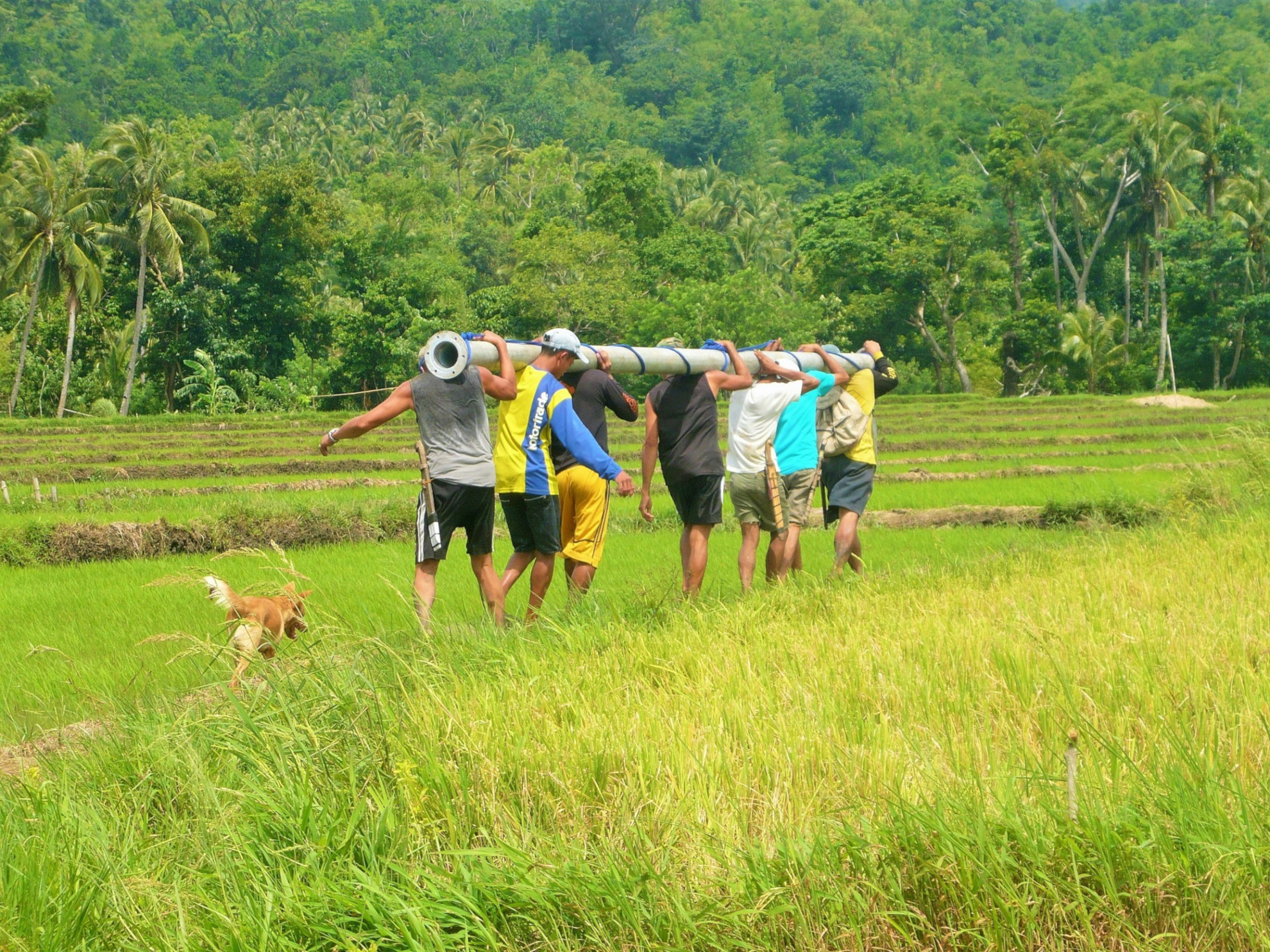 Holistic Water Systems for Pumping Water Uphill, Philippines - Social ...